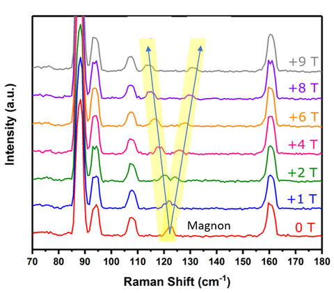 raman spectra graph