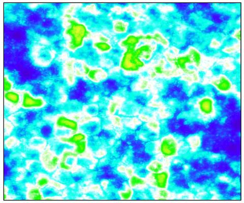 Optical absorption pseudocolor image of RPE cells