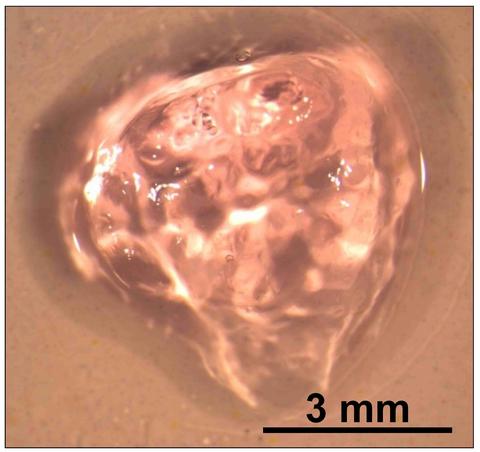 polysaccharide hydrogel