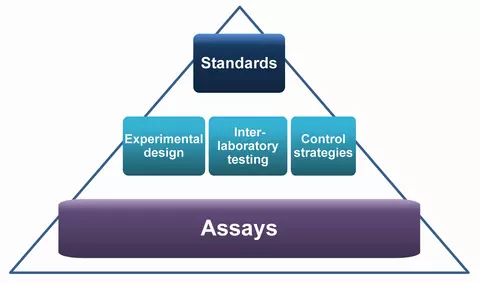 standards pyramid