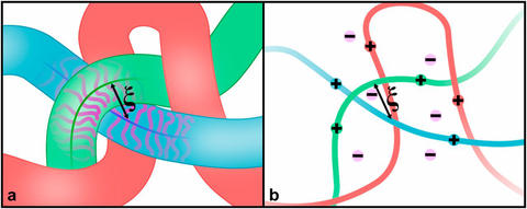 Illustration of the packing of bulk bottlebrush polymers and polyelectrolyte solutions.