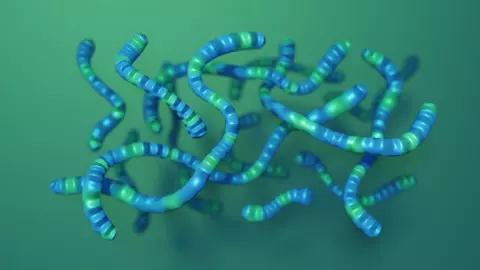 PCDTPT, appearing as a jumble of blue and green worm-like structures
