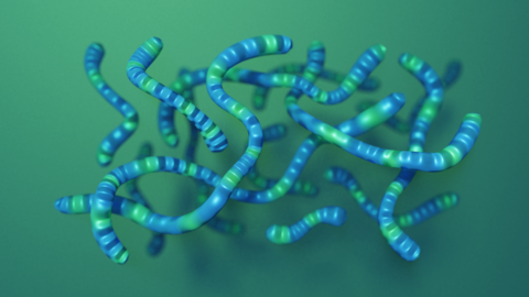PCDTPT, appearing as a jumble of blue and green worm-like structures