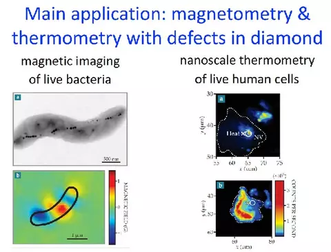Collage of images; magnetic imaging of live bacteria and nanoscale thermometry of live human cells.