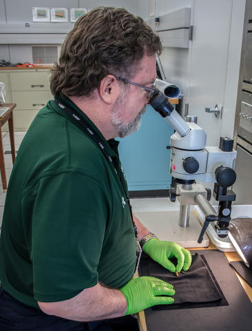 Robert Thompson looking through microscope