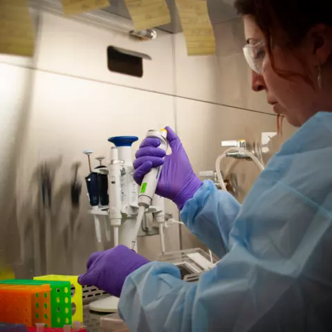 A woman in blue coveralls and purple gloves works at a lab table.