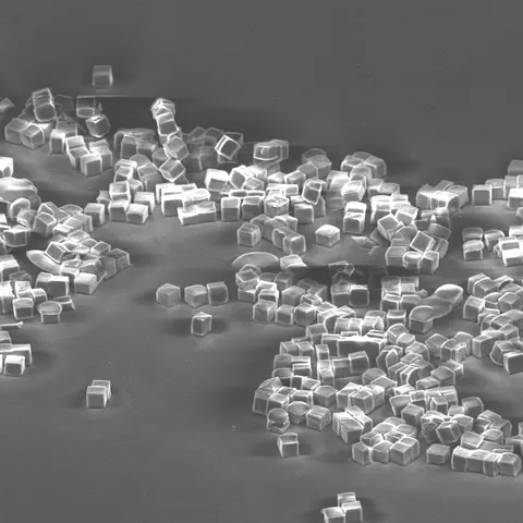 Black and white micrograph of tiny cubes clustered together.