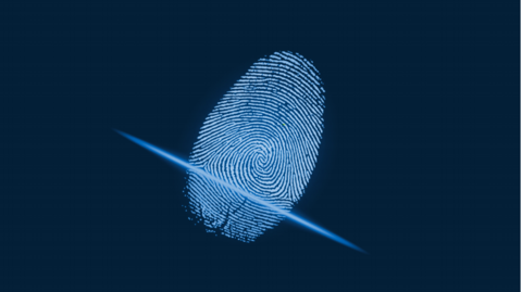 This image shows a blue fingerprint