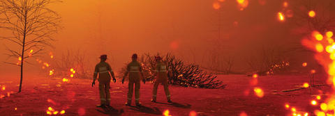 Photo of scorched earth and trees with three firefighters walking away
