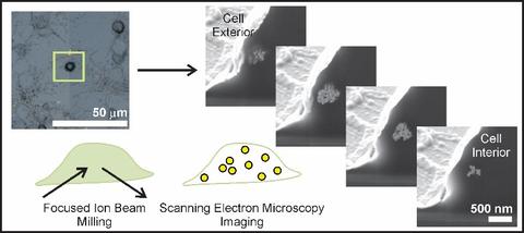 Nanoparticle Milling