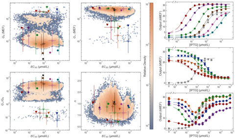 Phenotypic diversity for the LacI variant library