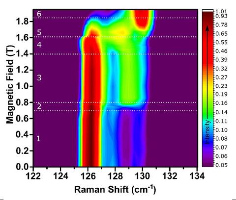 This graphic shows a false color contour map of the Raman intensity vs. magnetic field and shift frequency for 10-layer CrI3. 