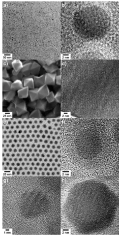 Electron micrographs of representative as-synthesized MNPs for thermometry.  