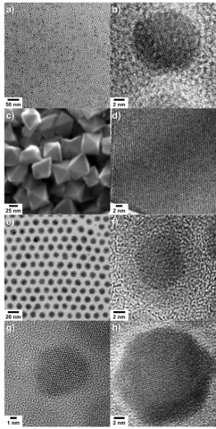 Electron micrographs of representative as-synthesized MNPs for thermometry.  