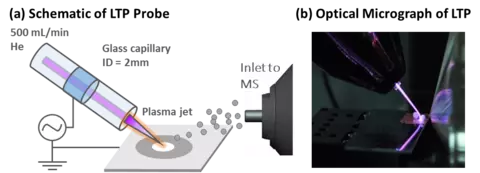 Schematic of the low temperature plasma probe