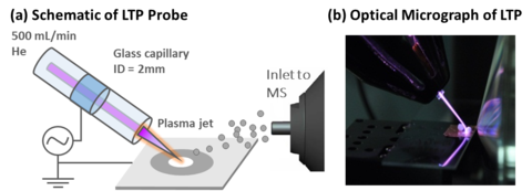 Schematic of the low temperature plasma probe