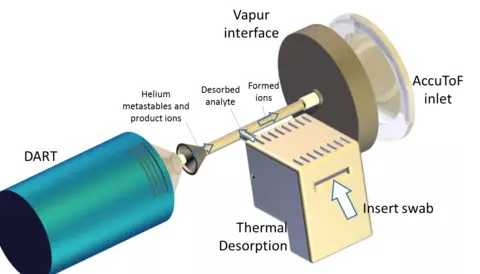 Schematic representation of the thermal desorption direct analysis in real time mass spectrometry