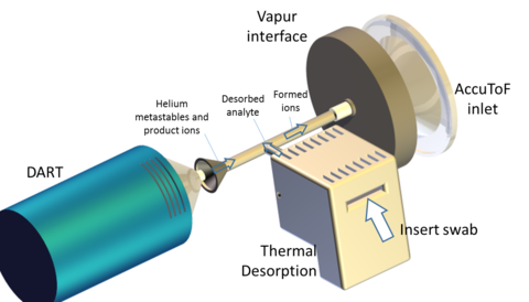 Schematic representation of the thermal desorption direct analysis in real time mass spectrometry