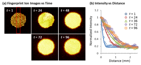 ToF-SIMS secondary ion image of a fingerprint 