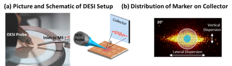 Visualization of the desorption electrospray ionization