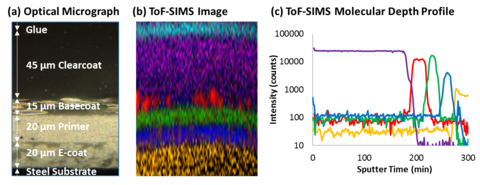 Optical micrograph of the automotive paint multilayer cross-section