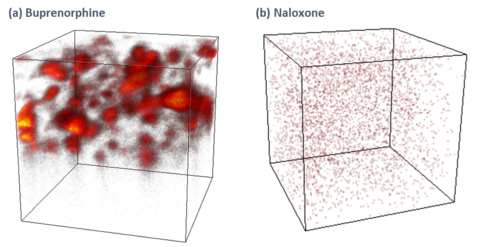 ToF-SIMS 3D image of active APIs inside a drug delivery film