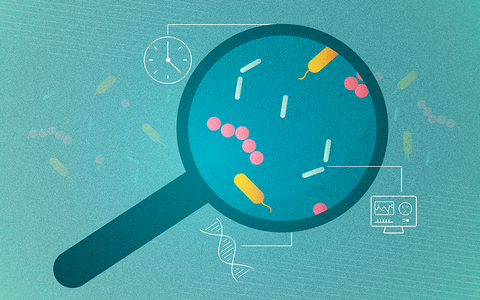 magnifying glass magnifying microbes