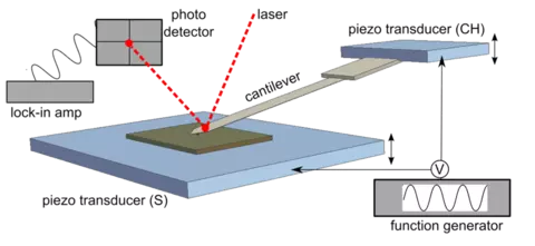 The AFM has multiple parts including cantilever, optical detection, sample scanning and more