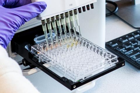 NIST researcher pipetting solutions into 96-well plate for analysis