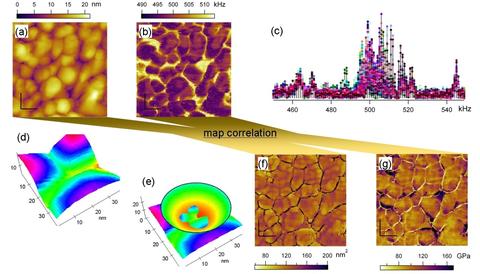 STM and CR-AFM images over the same area of a granular Au film