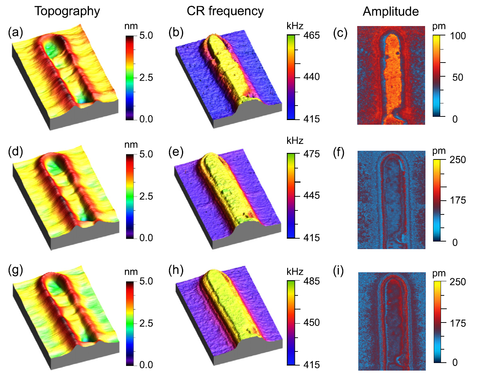 CR-AFM maps over a Cu line embedded into a low-k dielectric material