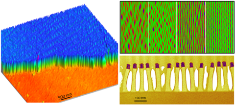 AFM view of the top and sides of buckled fins