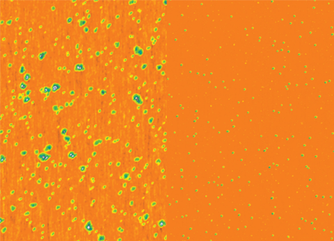 AFM images of silica nanoparticle