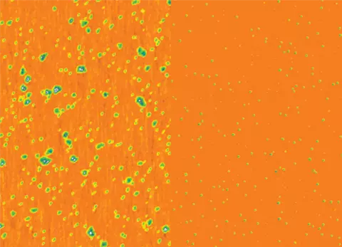 AFM images of silica nanoparticle