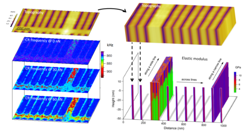 Surface topography and corresponding CR frequency maps