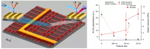 Combined mechanical (ICR-AFM) and chemical (AFM-IR) measurements