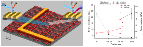 Combined mechanical (ICR-AFM) and chemical (AFM-IR) measurements