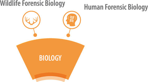 OSAC Biology SAC and subcommittees