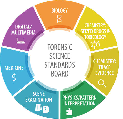 OSAC's seven scientific area committees