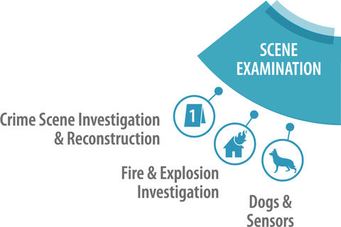 Scene Examination SAC and subcommittees