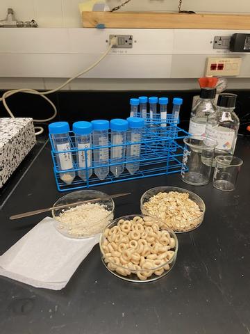 Three samples -- flour, oat cereal, and oatmeal -- sit with scientific equipment on a counter.