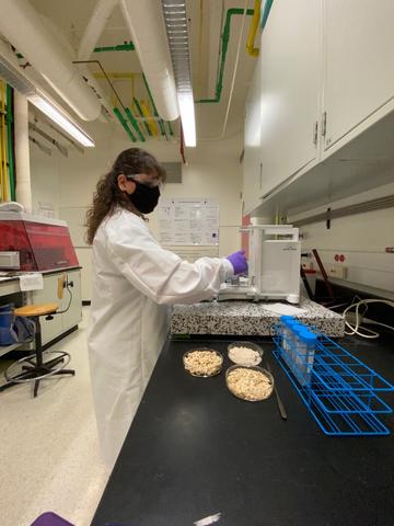 A woman in lab coat, safety glasses and a mask stands at a lab bench weighing samples.