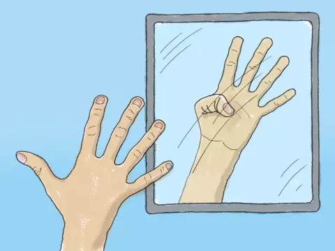 hand illustration