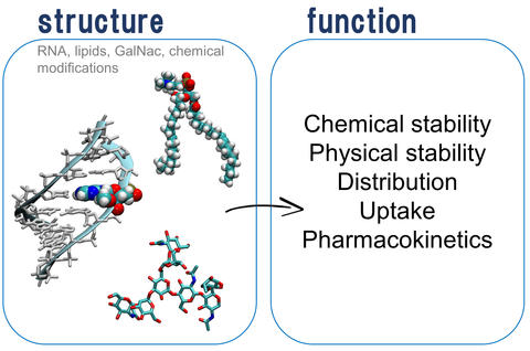 two boxes with text. Above the left box it reads "structure" and there are representations of RNA molecules below and an arrow pointing to the next box, which is labeled "function." In that box are the words chemical stability, physical stability, distribution, uptake, and pharmacokinetics 