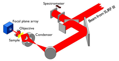 Optical layout of BL-10