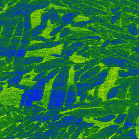 Microscope image shows blue and green jagged shapes