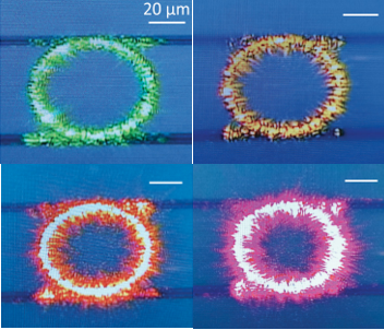 microring resonators