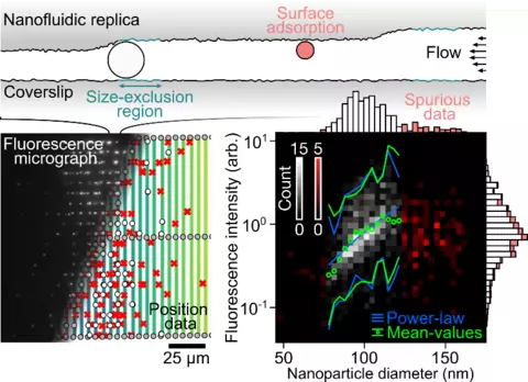 Nanofluidic replicas graphs