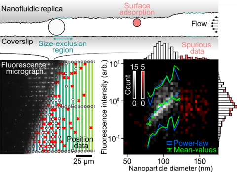 Nanofluidic replicas graphs