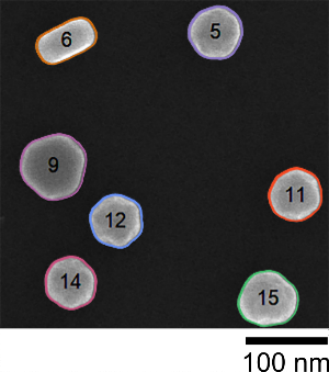 Gold nanoparticles